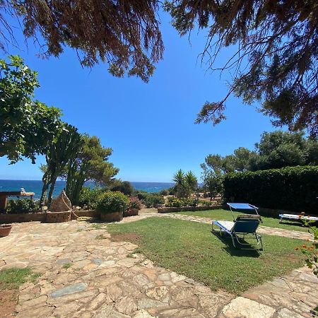 Villa Damiano Tertenìa Exteriér fotografie