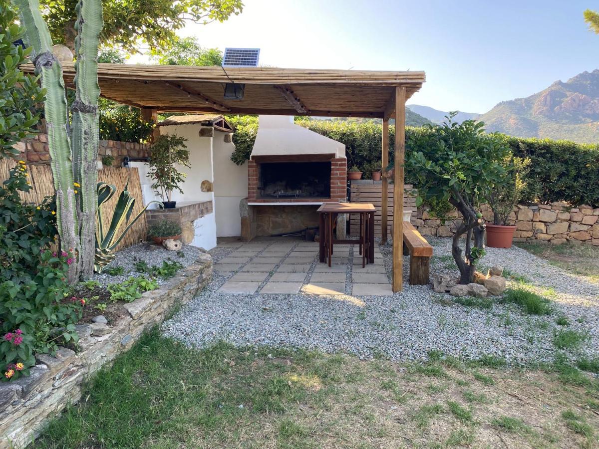 Villa Damiano Tertenìa Exteriér fotografie